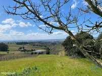 Terreno em Carvalhal de 3080,00 m2