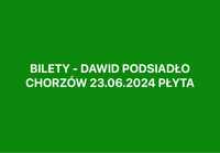 Bilety płyta - Dawid Podsiadło - GDAŃSK - 2.06.2024