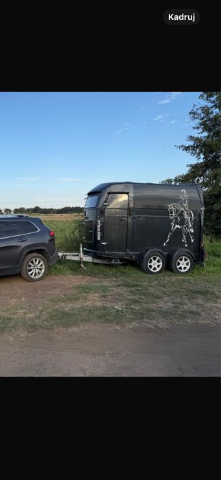 Transport koni - zwierząt 24 h /7 .