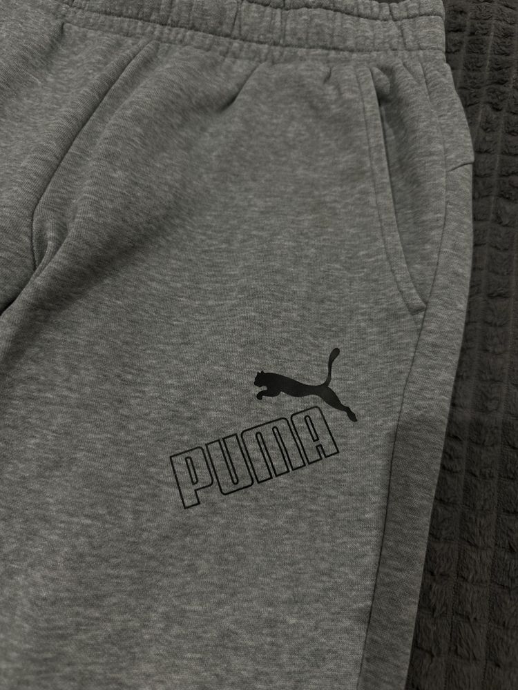 Мужские штаны Puma