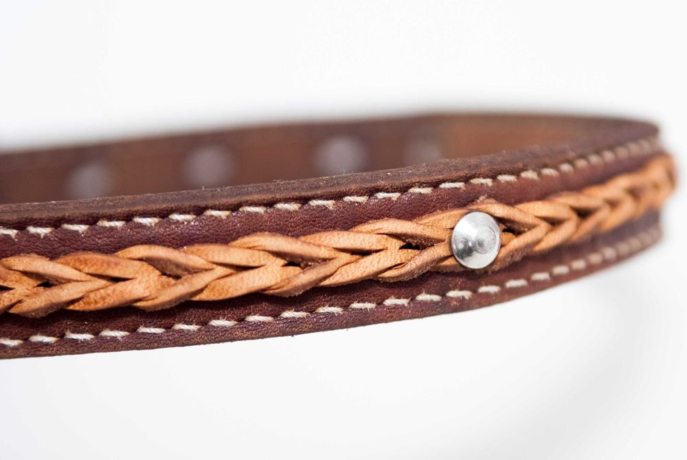 ошейник и поводки