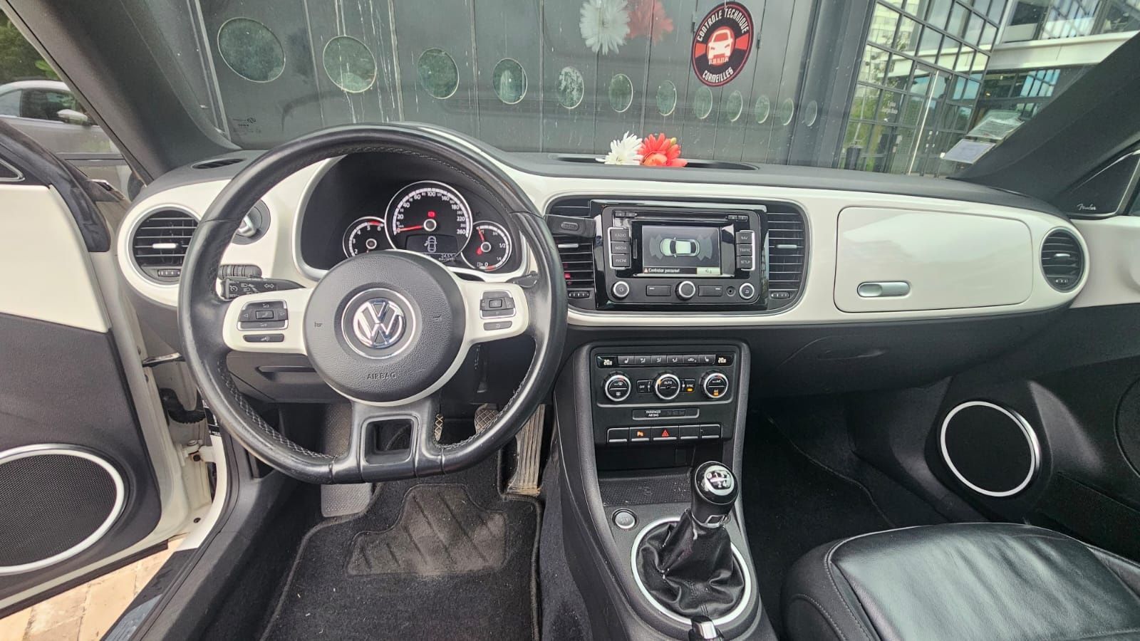 Beetle Maggiolino