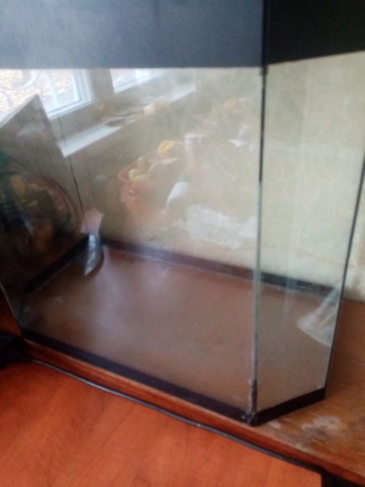 Аквариум панорамный