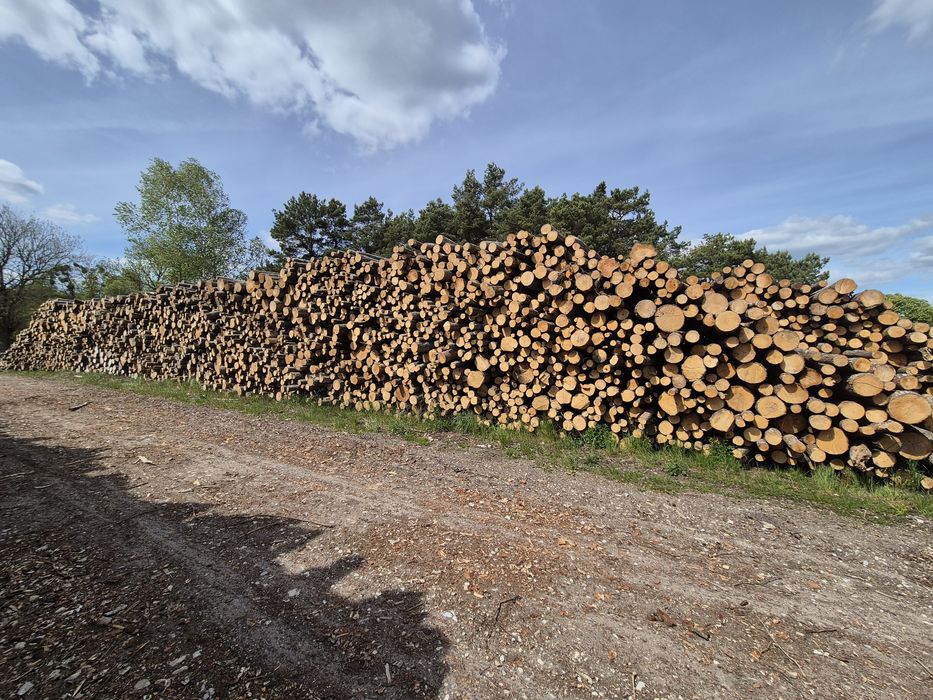 Drewno kominkowe BUK - PROMOCJA, jesion, dąb, grab