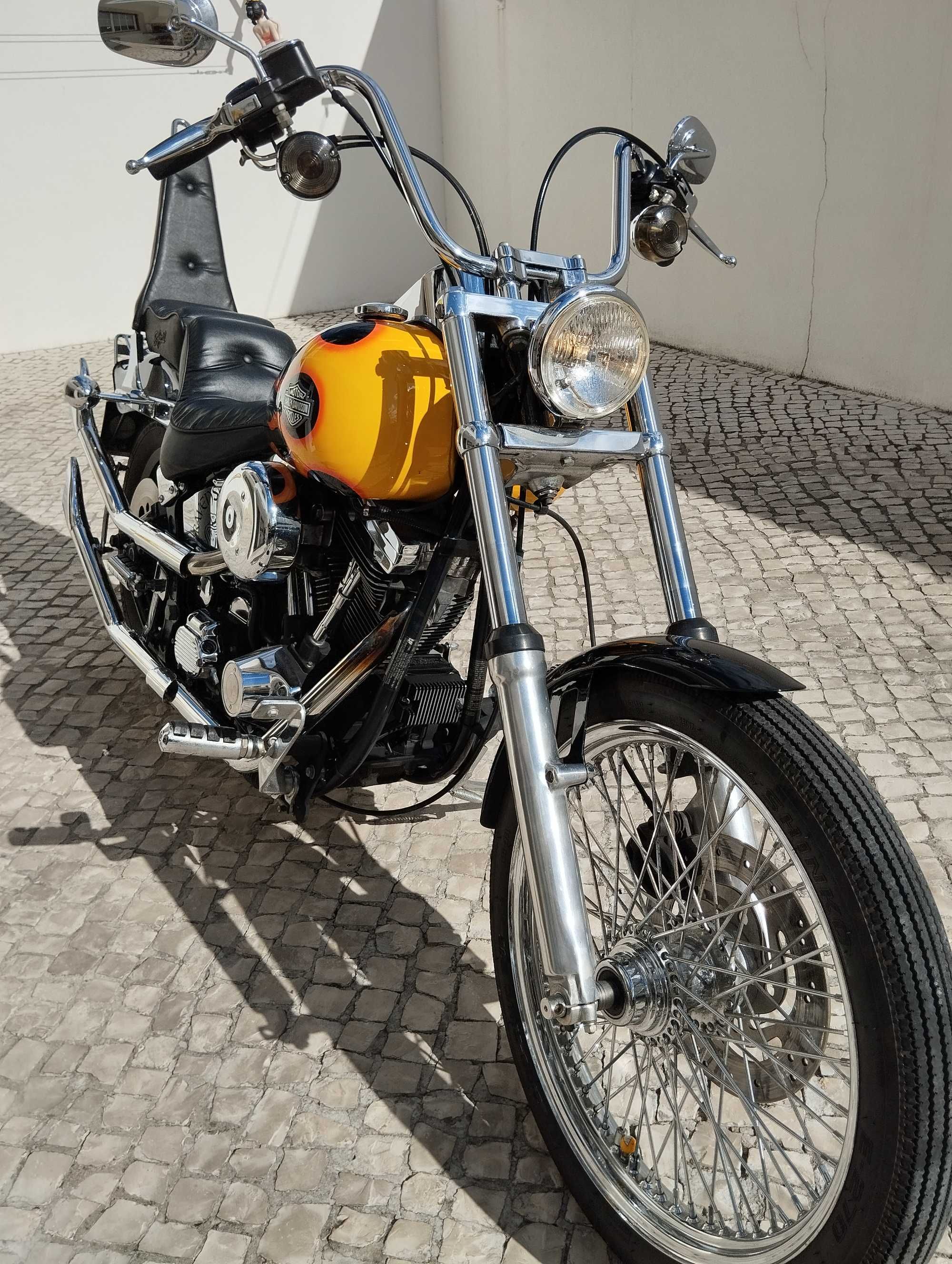 Harley Davidson Softail Custom