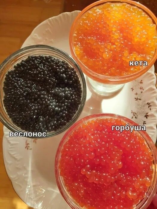 Ікра лососева, Осетрова Икра красная, щучья, чёрная