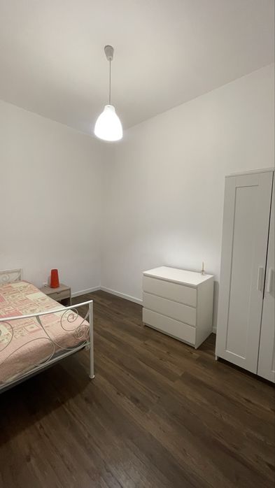 Arrendo quarto espinho