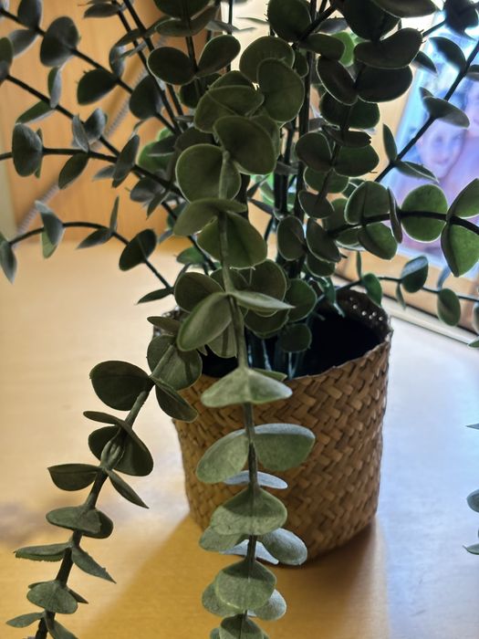 É Natal! Cesta de palhinha com verdes, para pender ou pousar