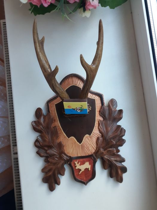 Продам роги косулі на підставці