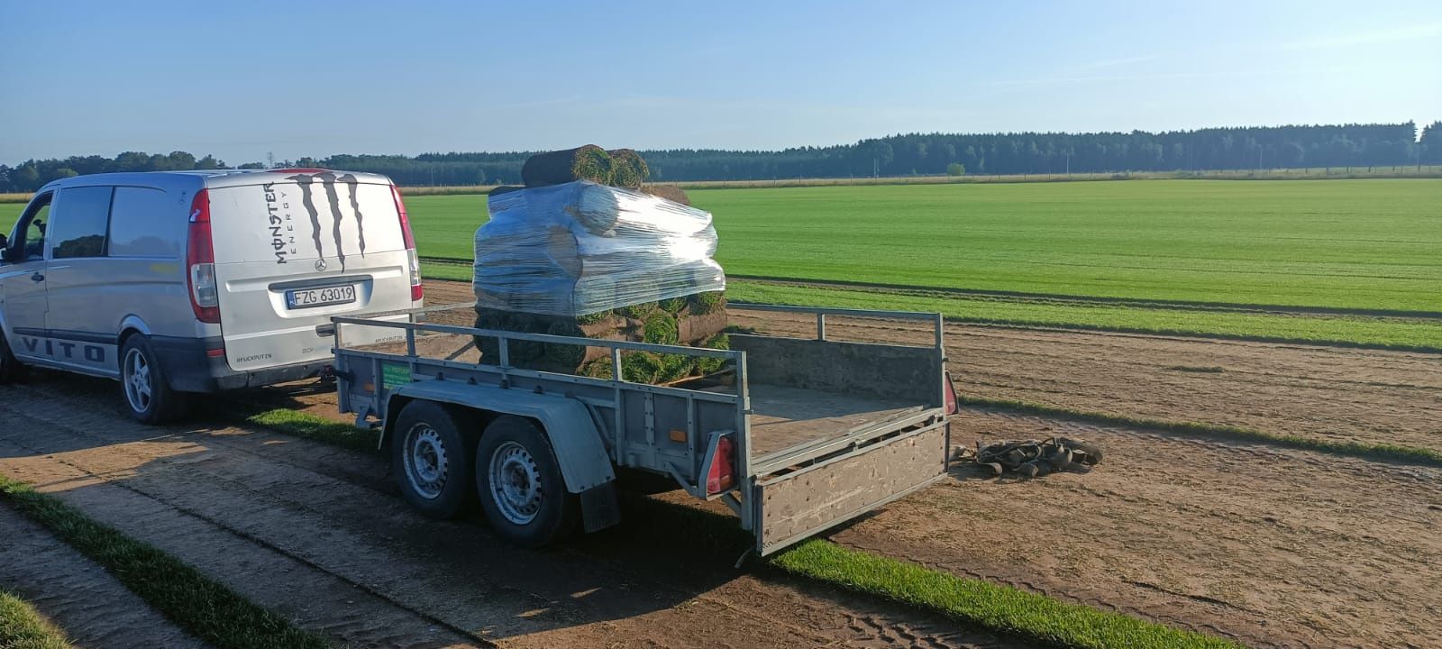 Trawnik z rolki trawa zakladanie trawników automatyczne nawodnienia