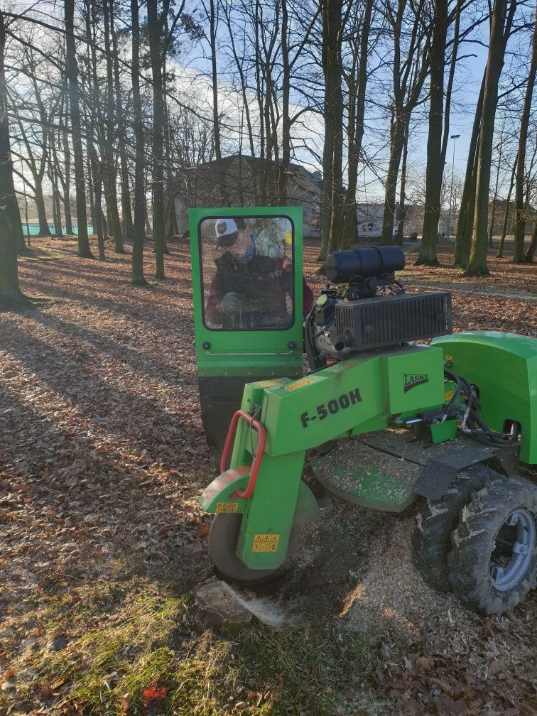 Wycinka i pielęgnacja drzew metodą alpinistyczną