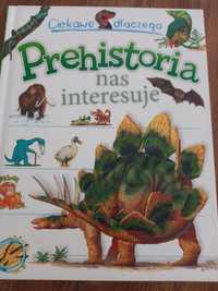 Książka dla dzieci Prehistoria dinozaury