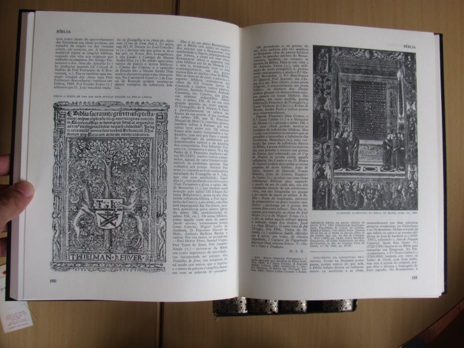 Dicionário de literatura; Portuguesa.Brasileira, Galega