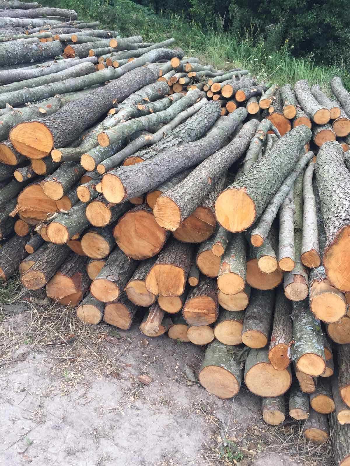 Замовте дрова від виробника - зекономте на зимі!