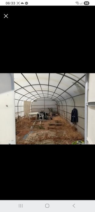 Plantação mirtilos
