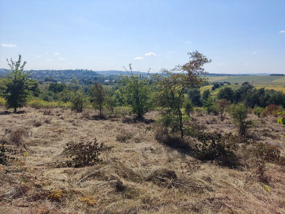Вигідна пропозиція з продажу ділянки в с. Коровія