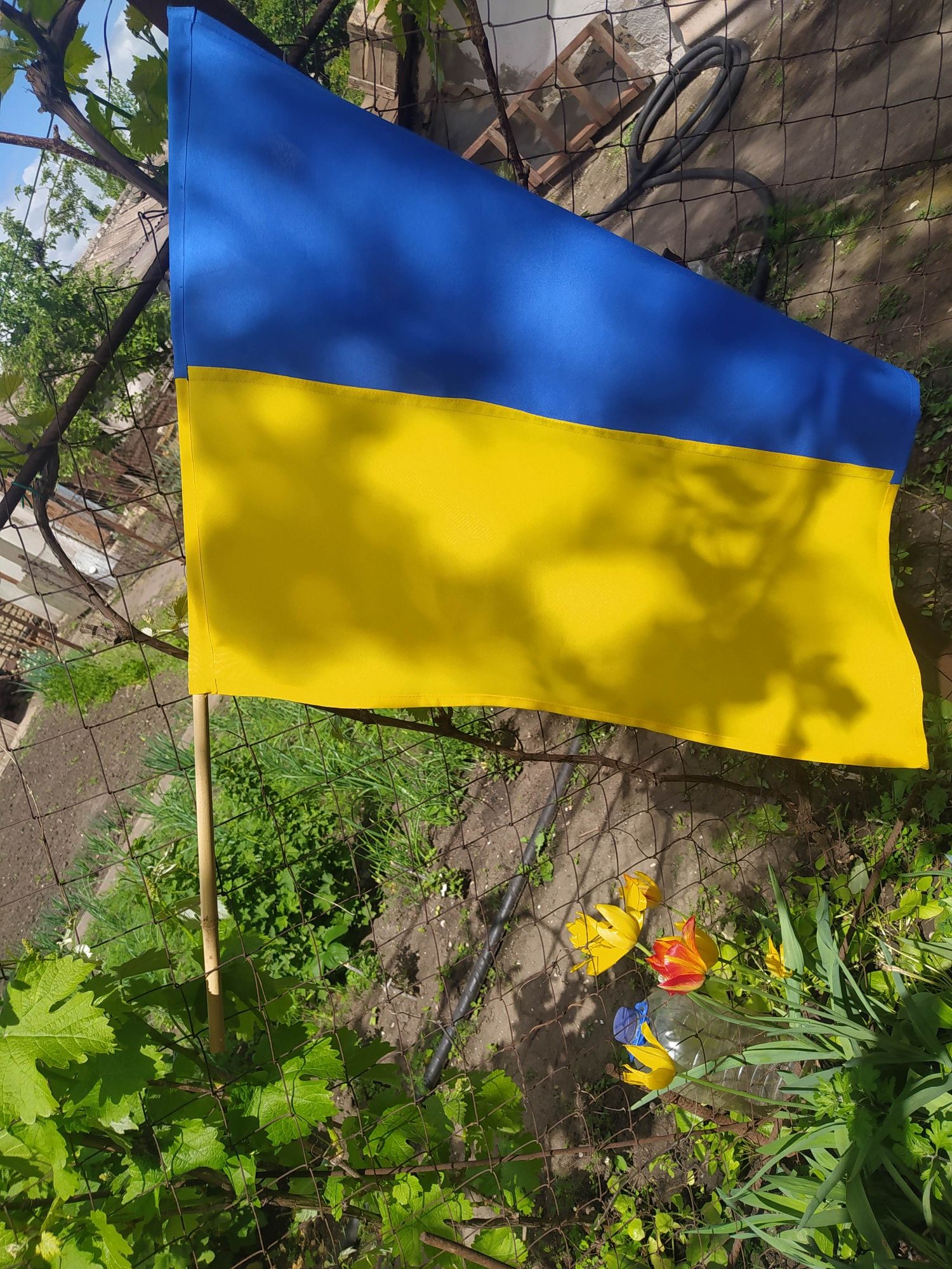 Красивые флаги Украины
