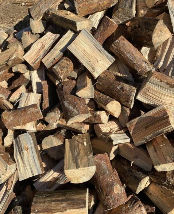 Drewno opałowe sosna