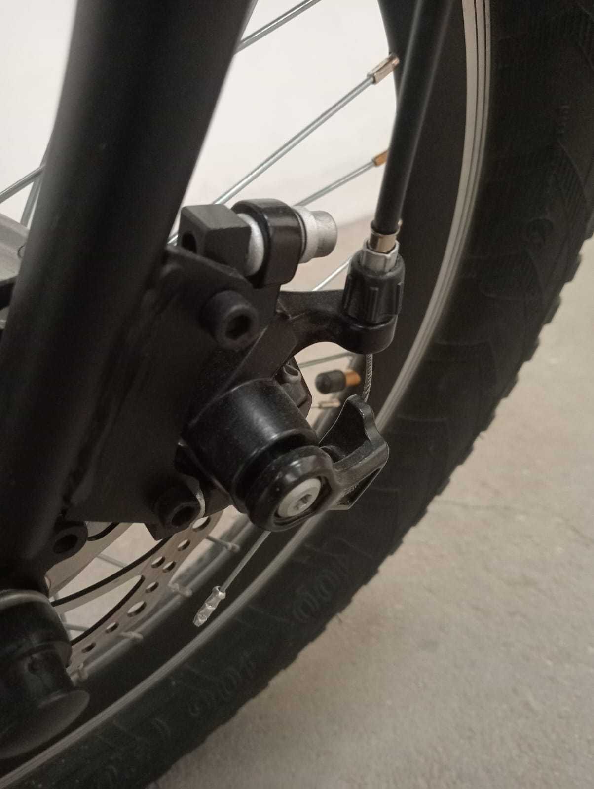 Triciclo Adulto NOVO Personalizavél