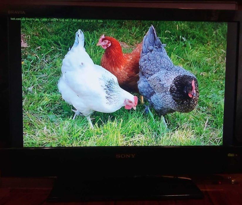 Телевизор Sony KDL KDL-19BX200/Монитор