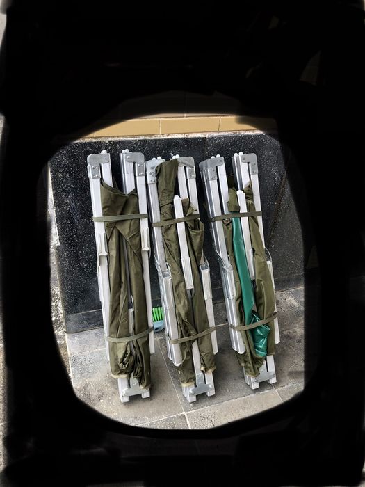 Burros do mato militares