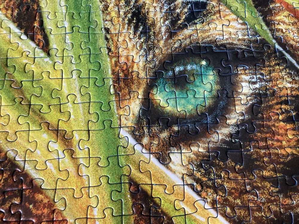 Puzzle Ravensburger 1000 • TAJEMNICZY TYGRYS