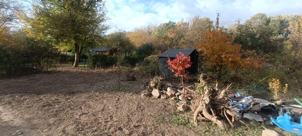 Porządki działka ROD