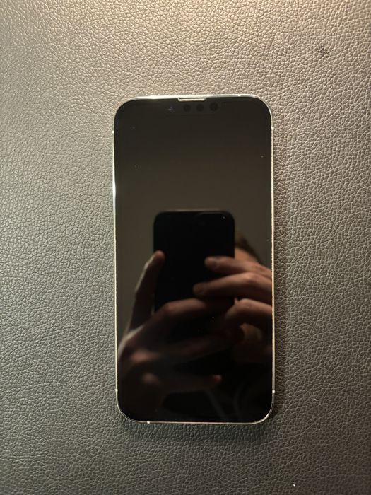 Iphone 13 Pro Silver