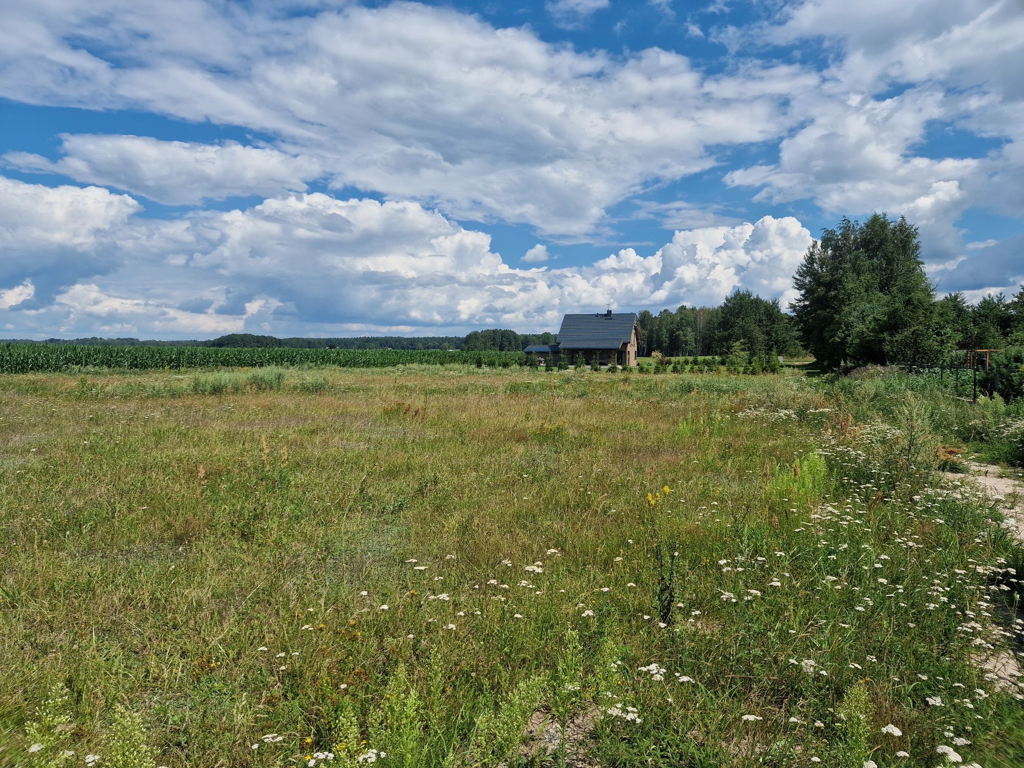 Działka z warunkami zabudowy 3500m2