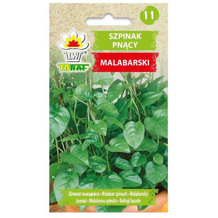 Szpinak Malabarski pnący nasiona