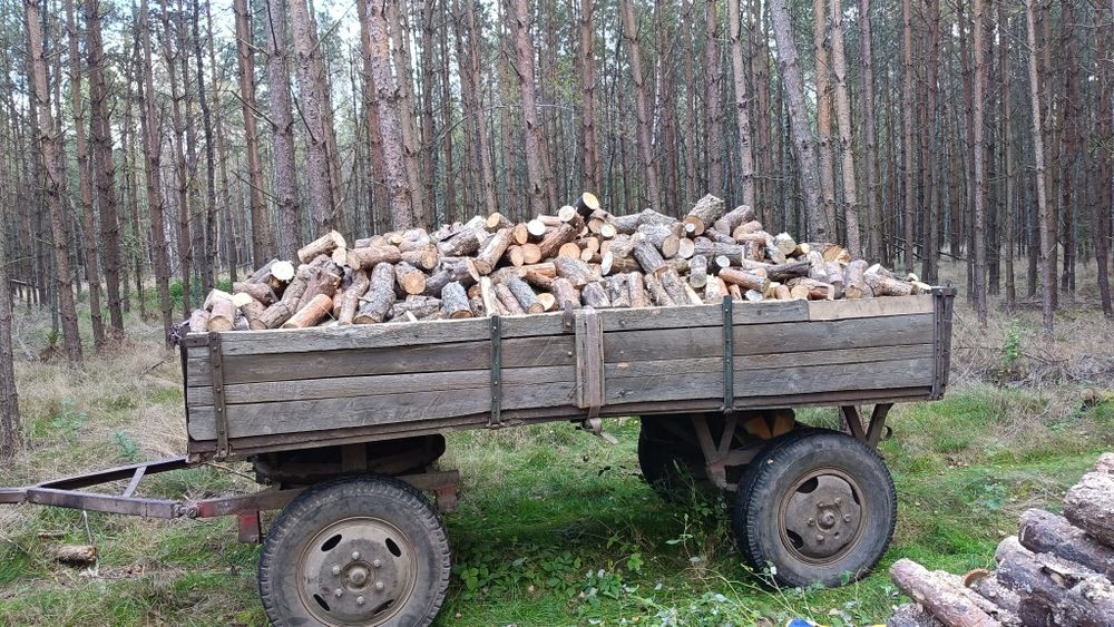Drzewo klocki,sosna