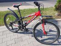 Rower Trek MT220 24"