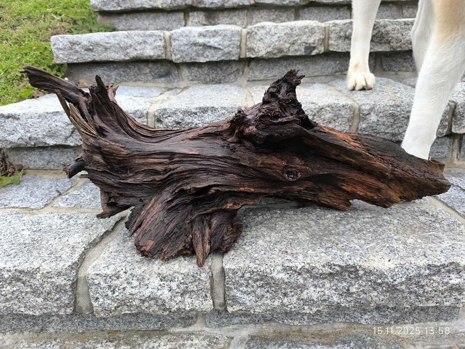 Sprzedam korzeń do akwarium