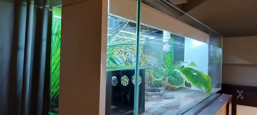 Terrarium wyposażone z oświetleniem.