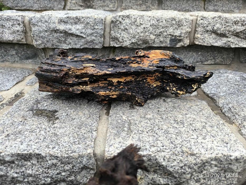 Sprzedam korzeń do akwarium