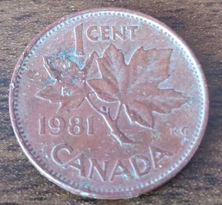 1 Cent Canada 1981 moneta