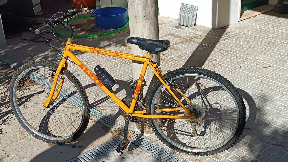 Bicicleta de montanha Alpin