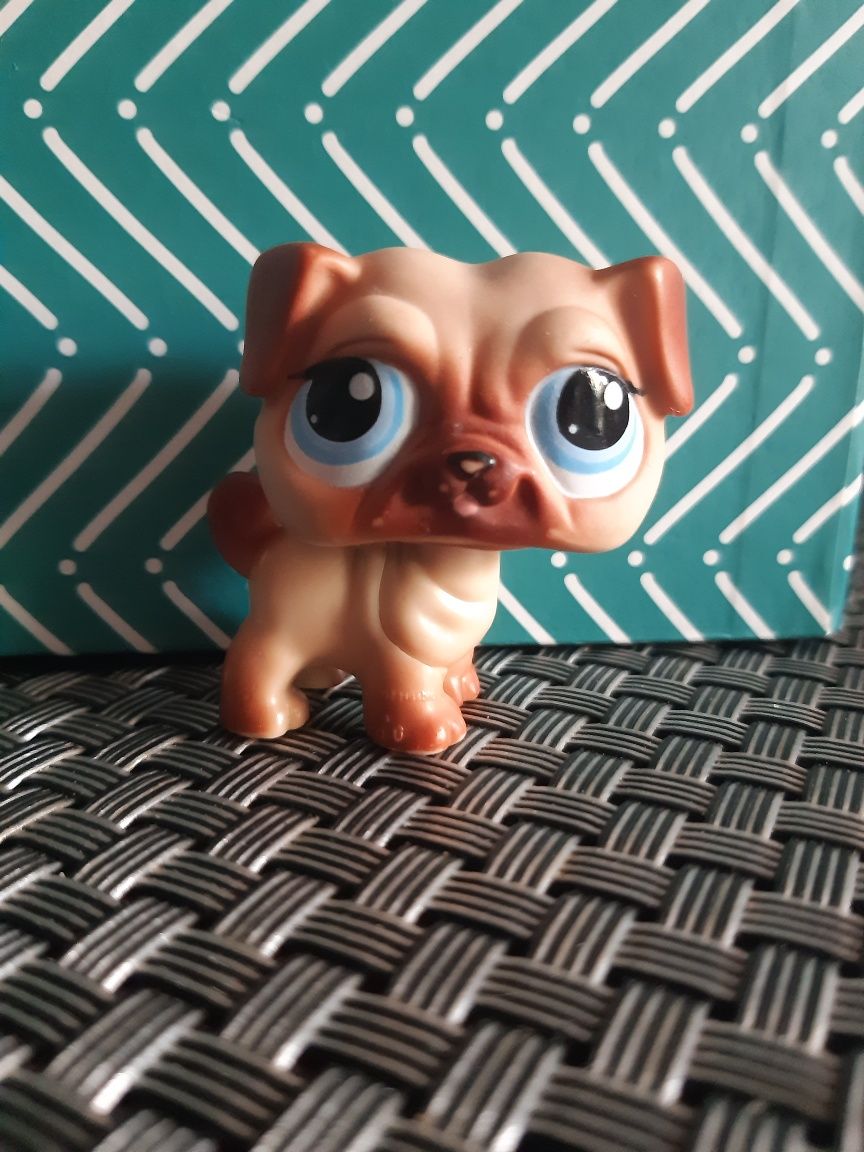 Mops #623 Hasbro