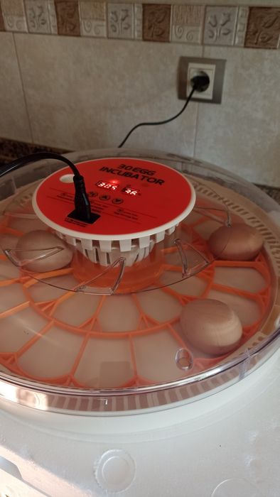 Chocadeira automática 30 ovos