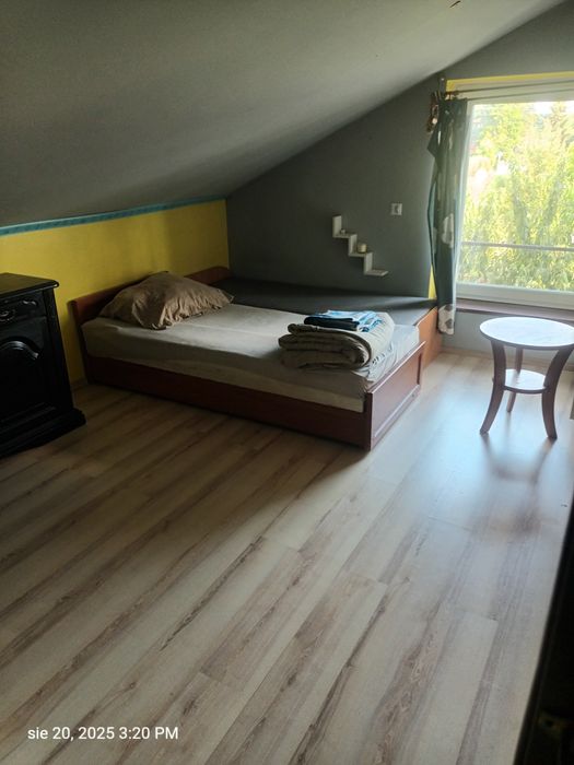 Wynajem mieszkania/pokoi dla kobiet