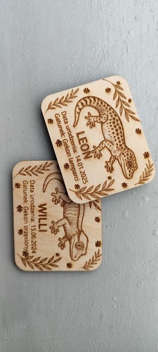 Terrarium 45x45x60 dla gekona orzesionego