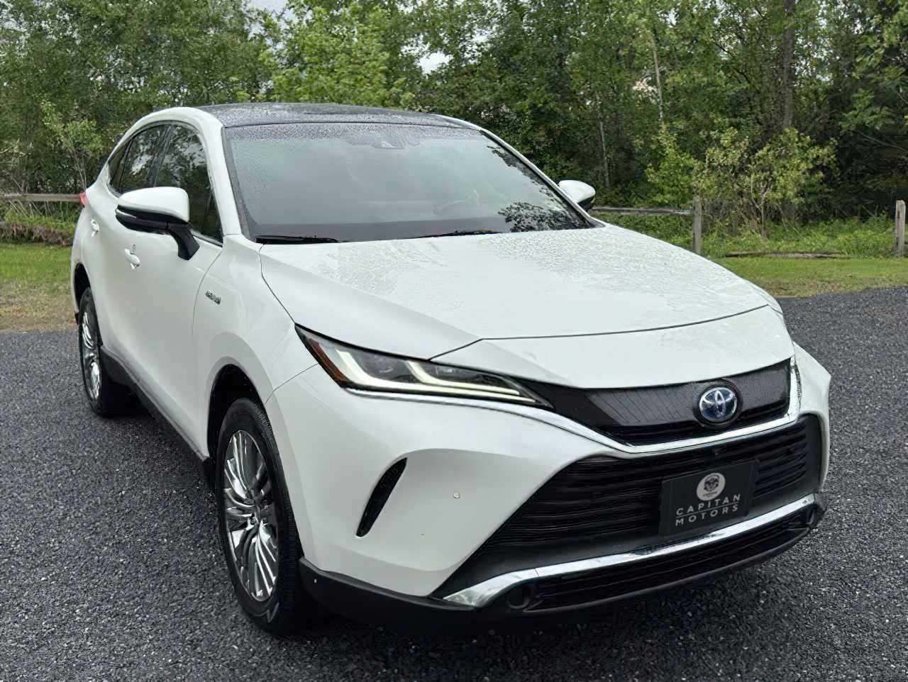 Toyota  Venza Limited      2021
