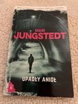 Mari Jungstedt. Upadły anioł