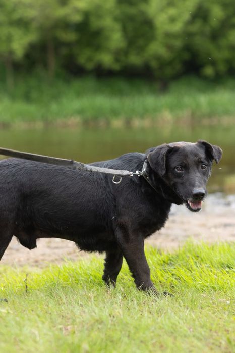 Ralf – elegancki dżentelmen w czerni, który czeka na swojego człowieka