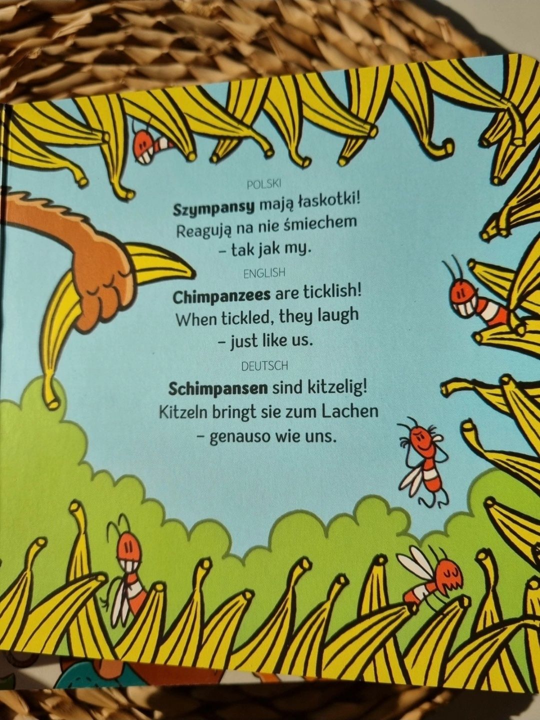 Zestaw książek dla dzieci