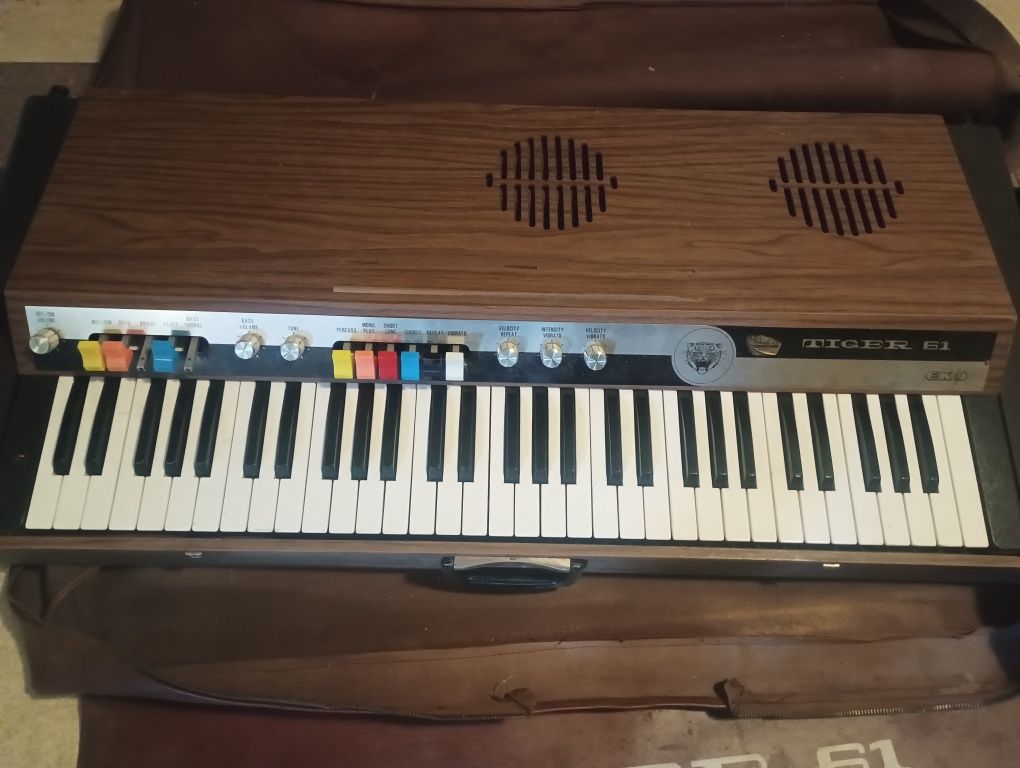 Organy elektryczne Tiger 61 ECO
