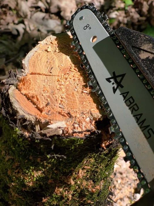 Piła Łańcuchowa Akumulatorowa Pilarka Piła Do Drzewa 8 Cali 2X Aku 21v