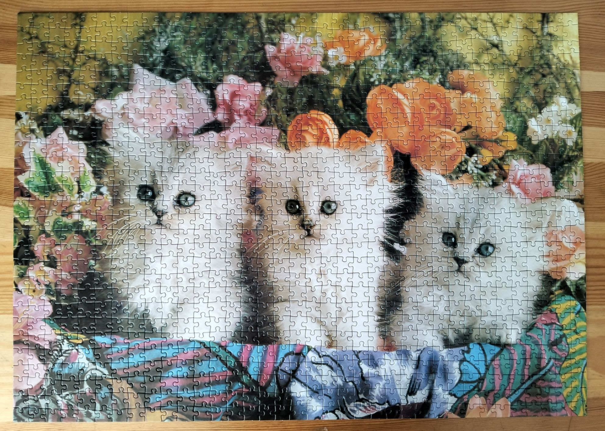 Puzzle Jumbo, 1000, Kittens in a basket