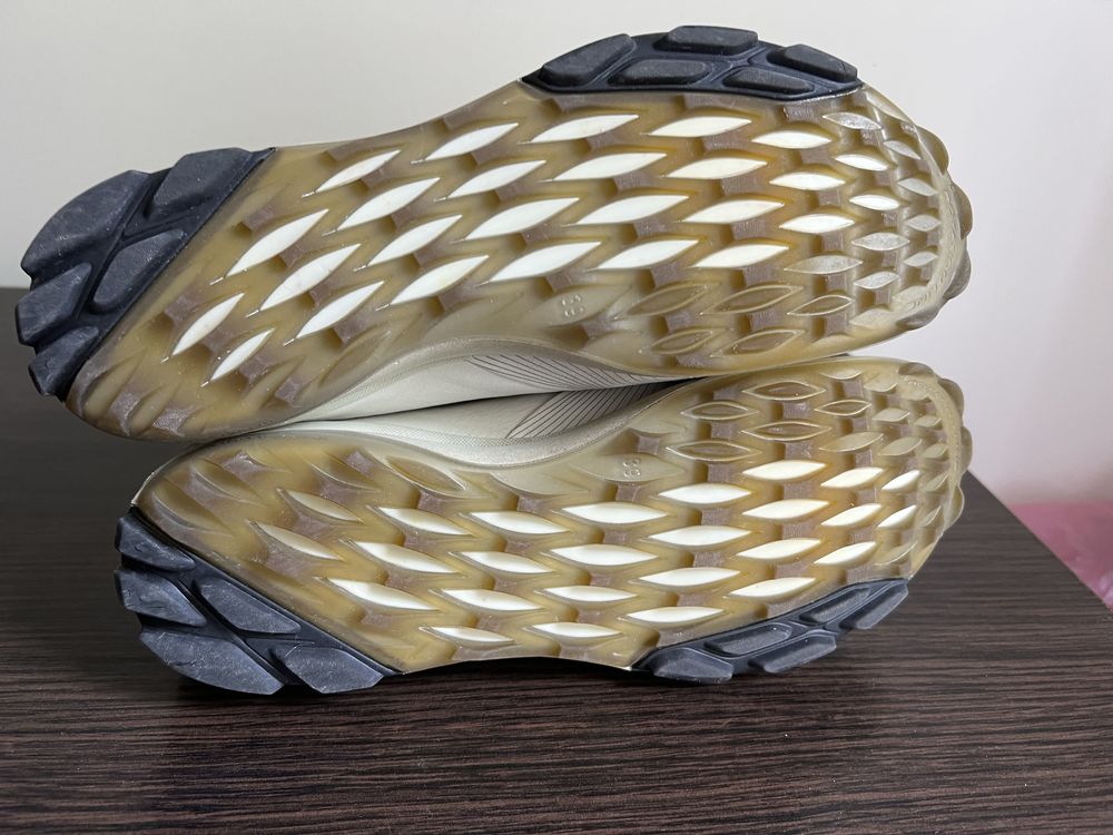Кросівки ECCO BIOM Hybrid 3 GTX Розмір 39 на 24.5 см