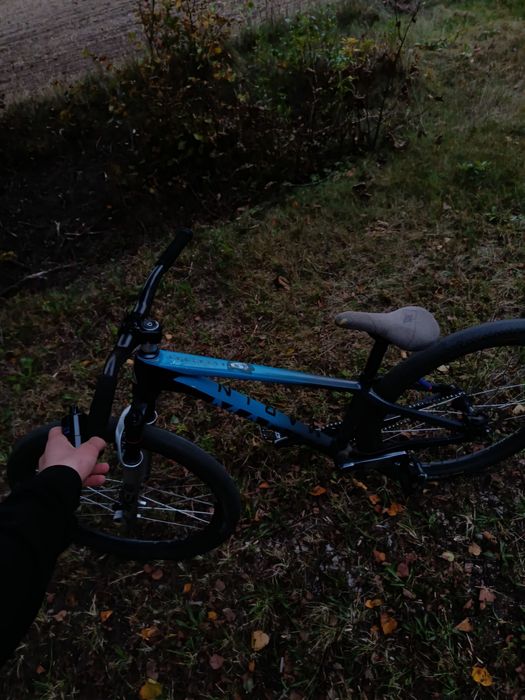 Marin alcatraz doinwestowany